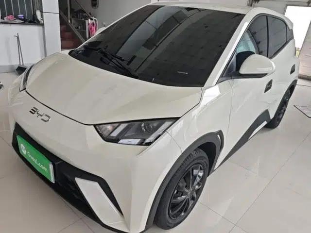 BYD Seagull 2024 Honor Edition 305km Dynamic Version