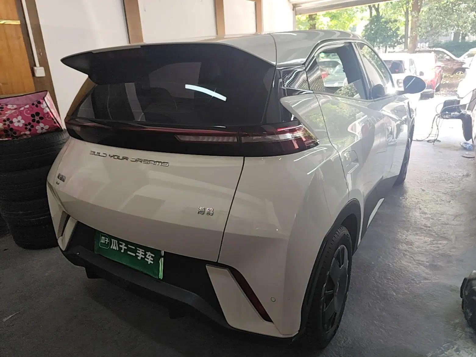 BYD Seagull 2024 Honor Edition 305km Dynamic Version — миниатюра 6