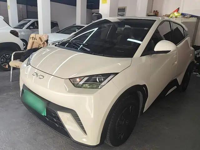 BYD Seagull 2024 Honor Edition 305km Dynamic Version