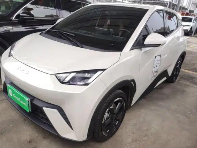 BYD Seagull 2024 Honor Edition 305km Freedom Version