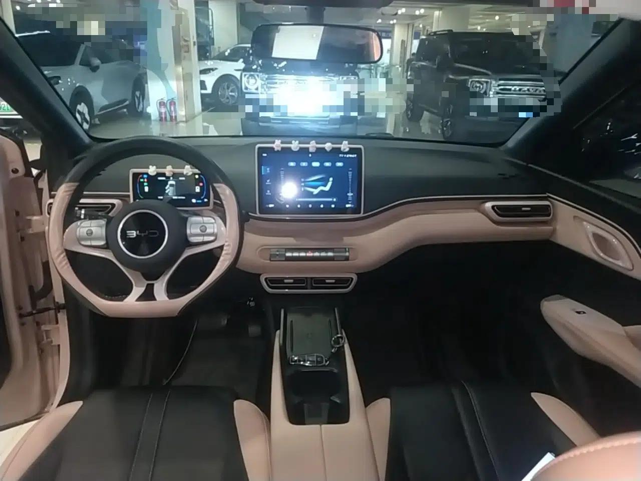 BYD Seagull 2025 305 km Free Version — миниатюра 12