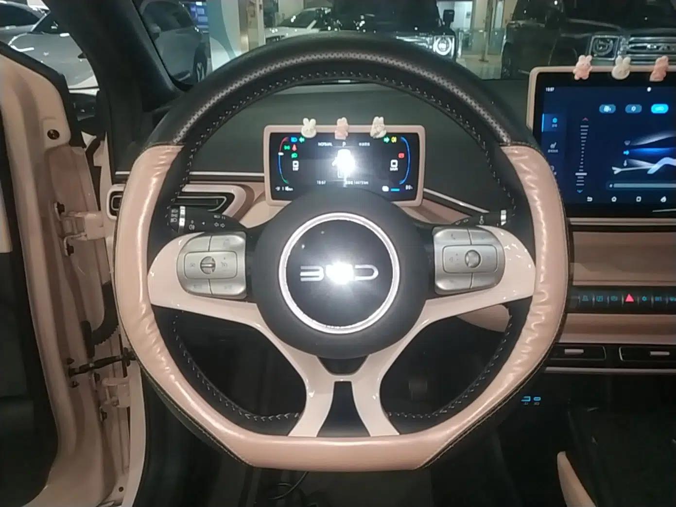 BYD Seagull 2025 305 km Free Version — миниатюра 13