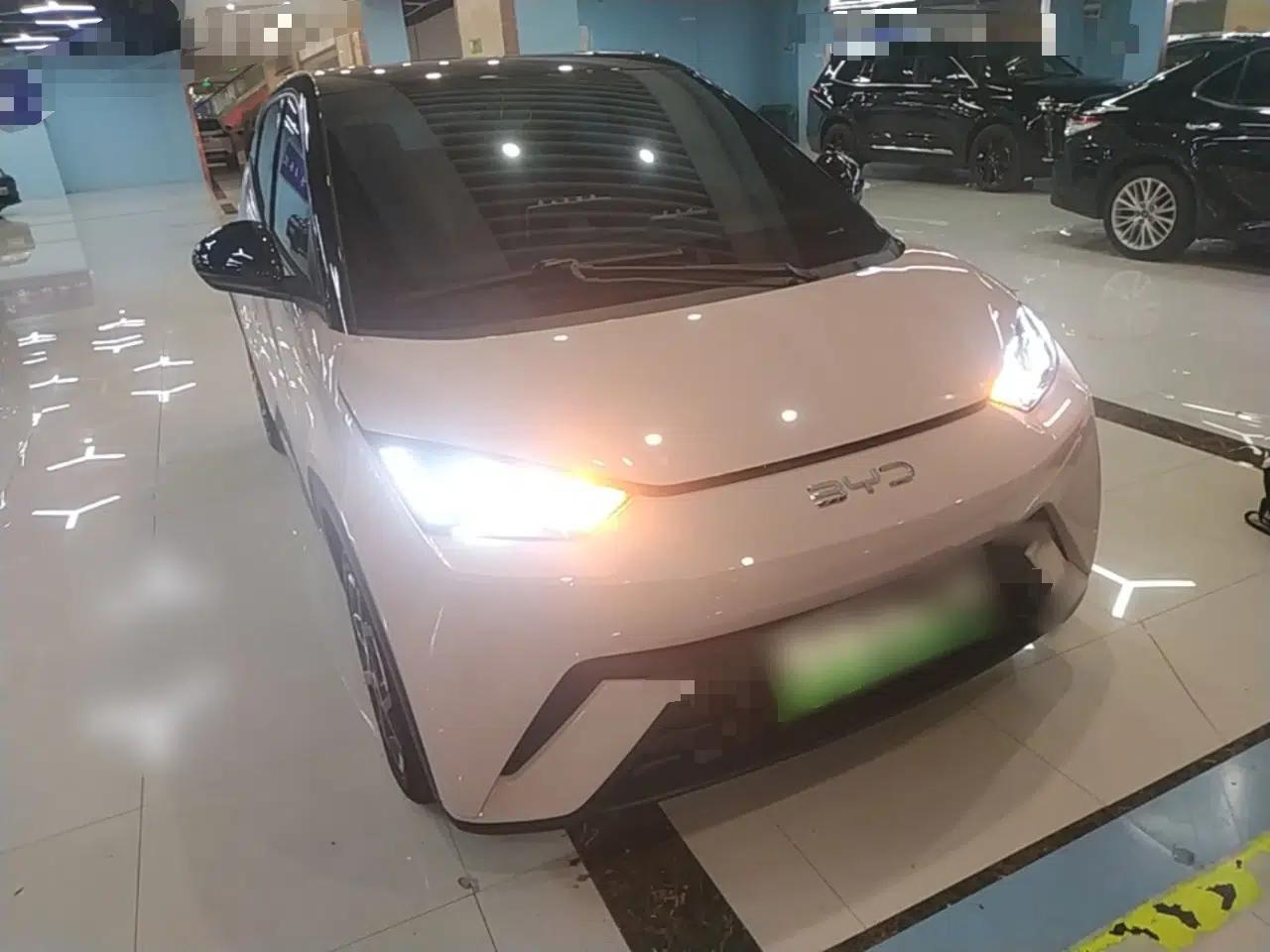 BYD Seagull 2025 305 km Free Version — миниатюра 3