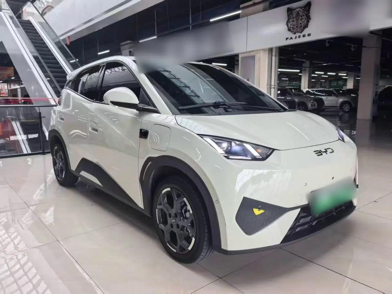 BYD Seagull 2025 Smart Drive Version 305 km Freedom Edition — миниатюра 3