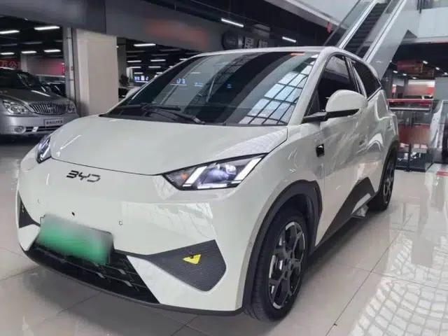 BYD Seagull 2025 Smart Drive Version 305 km Freedom Edition