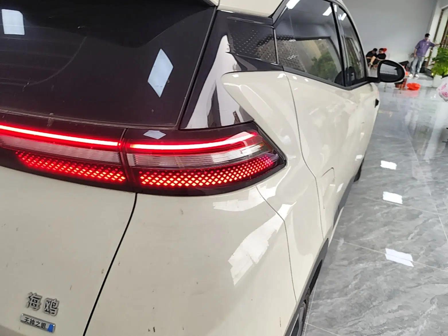 BYD Seagull 2025 Smart Drive Version 305 km Freedom Edition — миниатюра 9