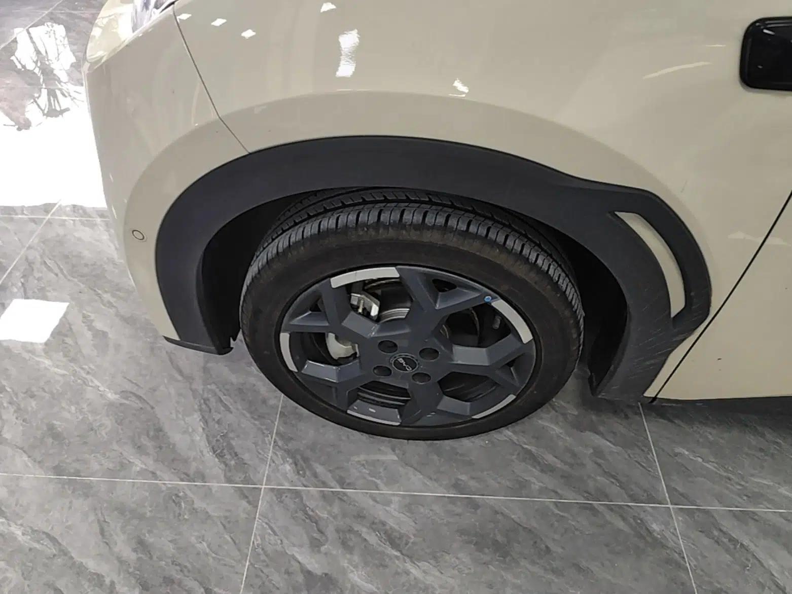 BYD Seagull 2025 Smart Drive Version 305 km Freedom Edition — миниатюра 10
