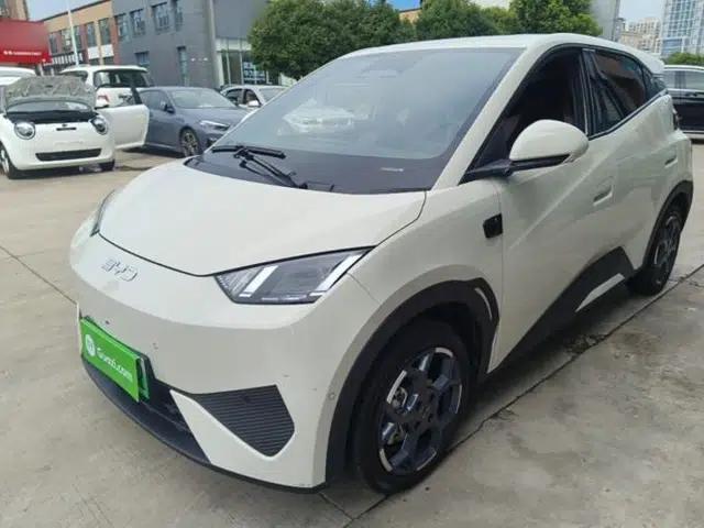 BYD Seagull 2025 Smart Drive Version 305 km Freedom Edition