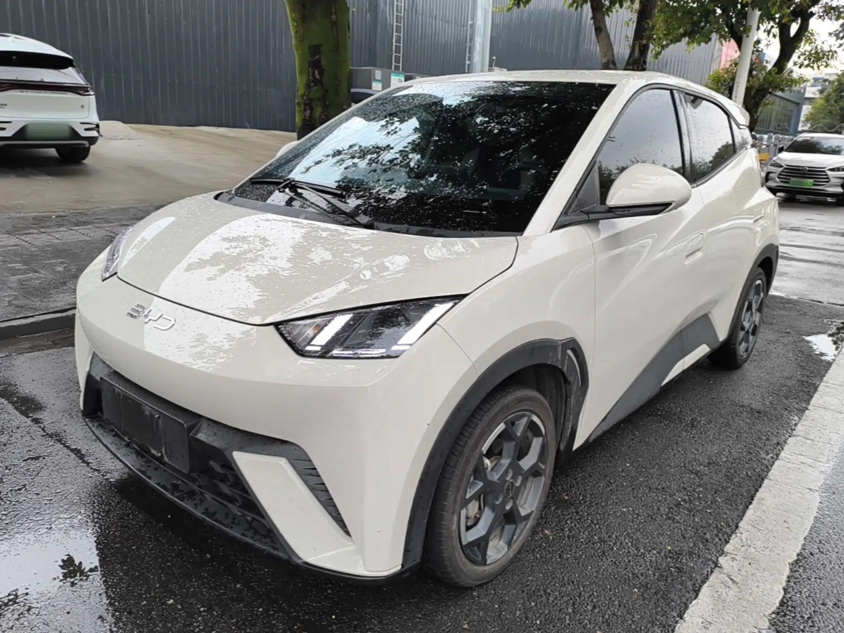 BYD Seagull 2025 405 km Flying Edition — миниатюра 1