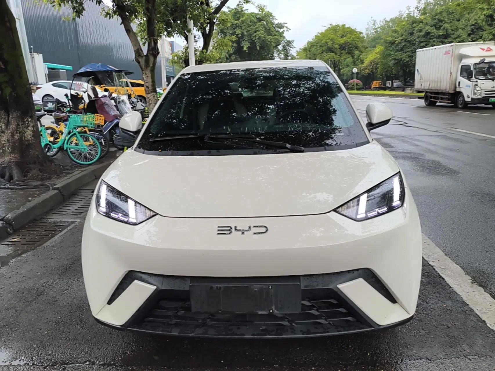 BYD Seagull 2025 405 km Flying Edition — миниатюра 2