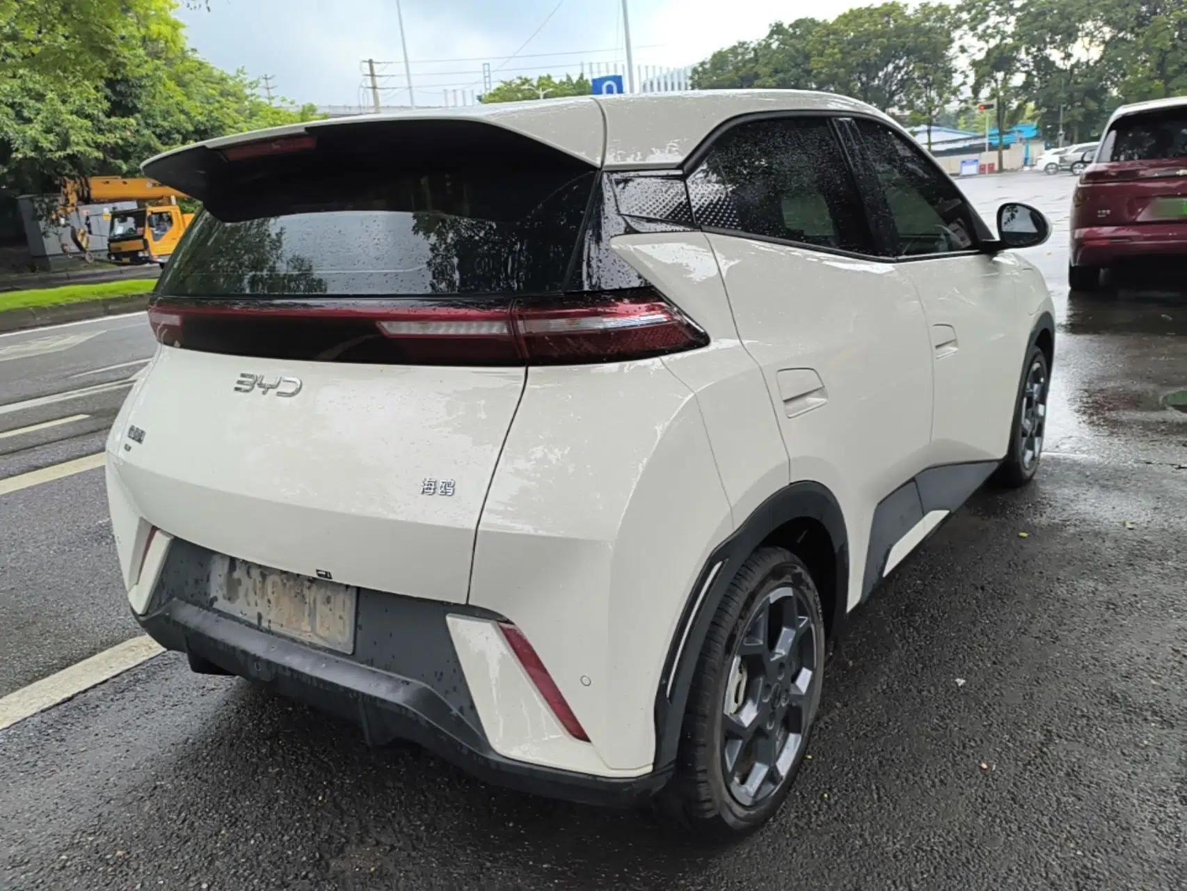 BYD Seagull 2025 405 km Flying Edition — миниатюра 6