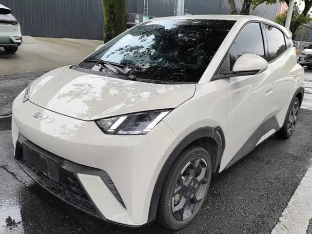 BYD Seagull 2025 405 km Flying Edition