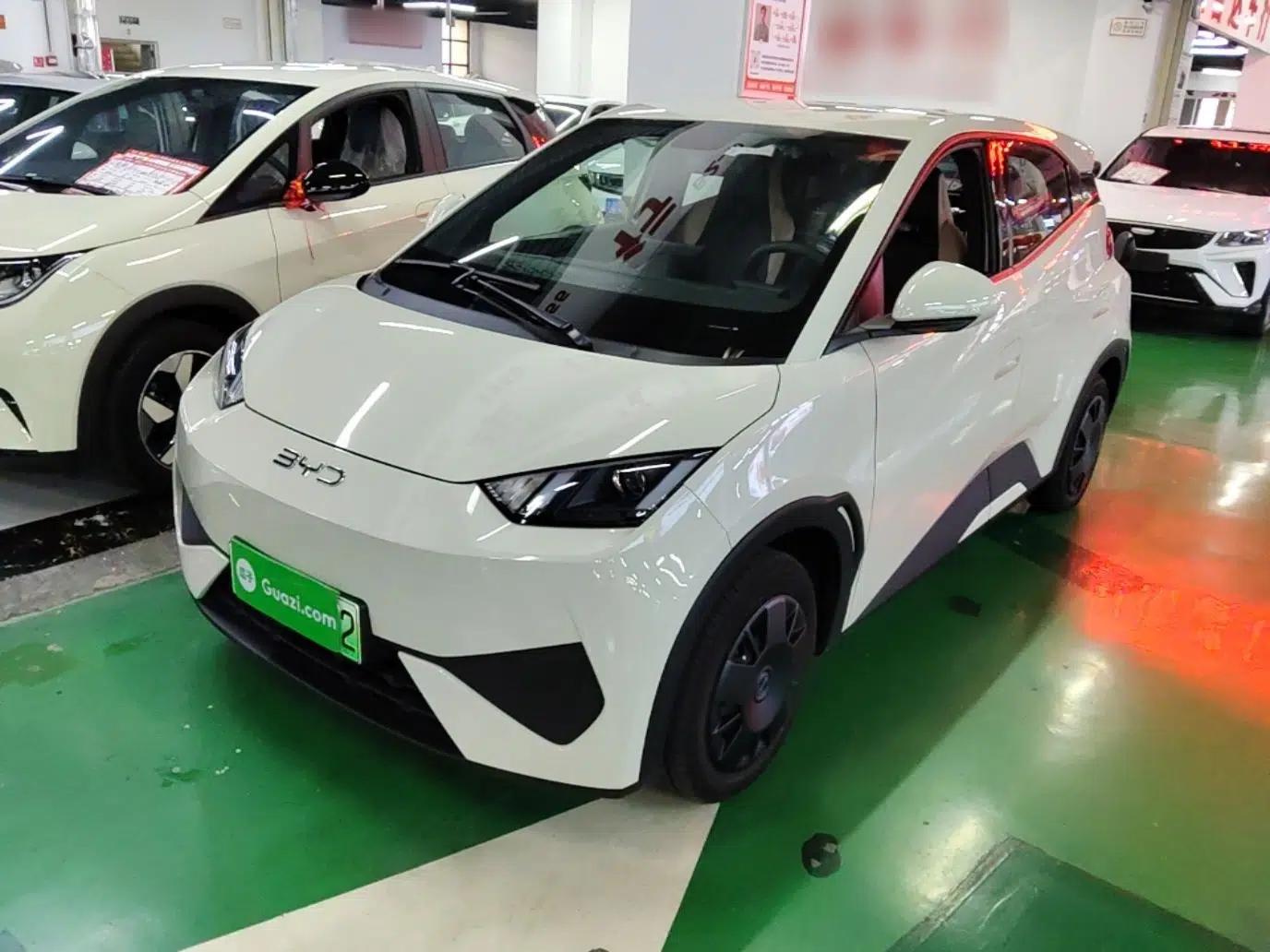 BYD Seagull 2025 Intelligent Driving Version 305 km Dynamic Edition — миниатюра 1