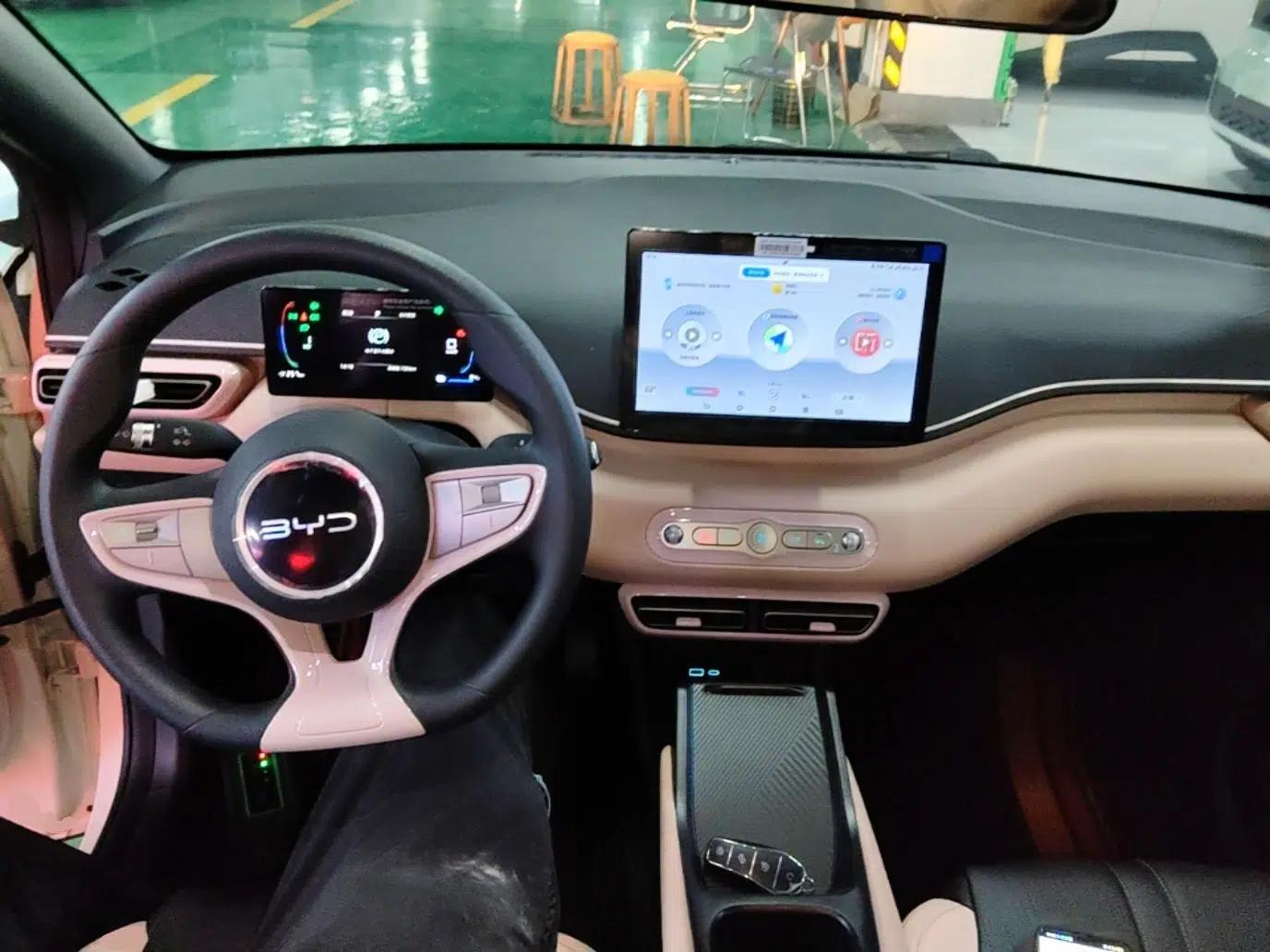 BYD Seagull 2025 Intelligent Driving Version 305 km Dynamic Edition — миниатюра 12