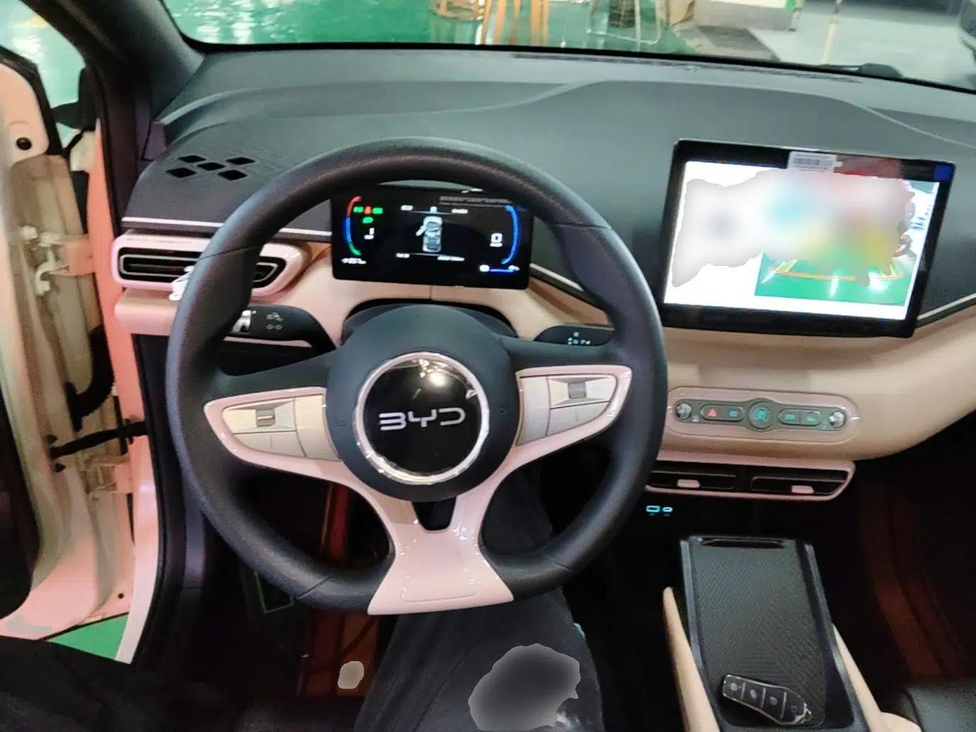 BYD Seagull 2025 Intelligent Driving Version 305 km Dynamic Edition — миниатюра 13