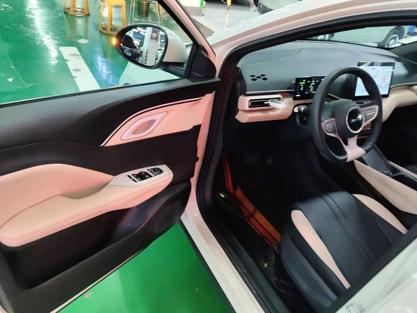 BYD Seagull 2025 Intelligent Driving Version 305 km Dynamic Edition — миниатюра 18