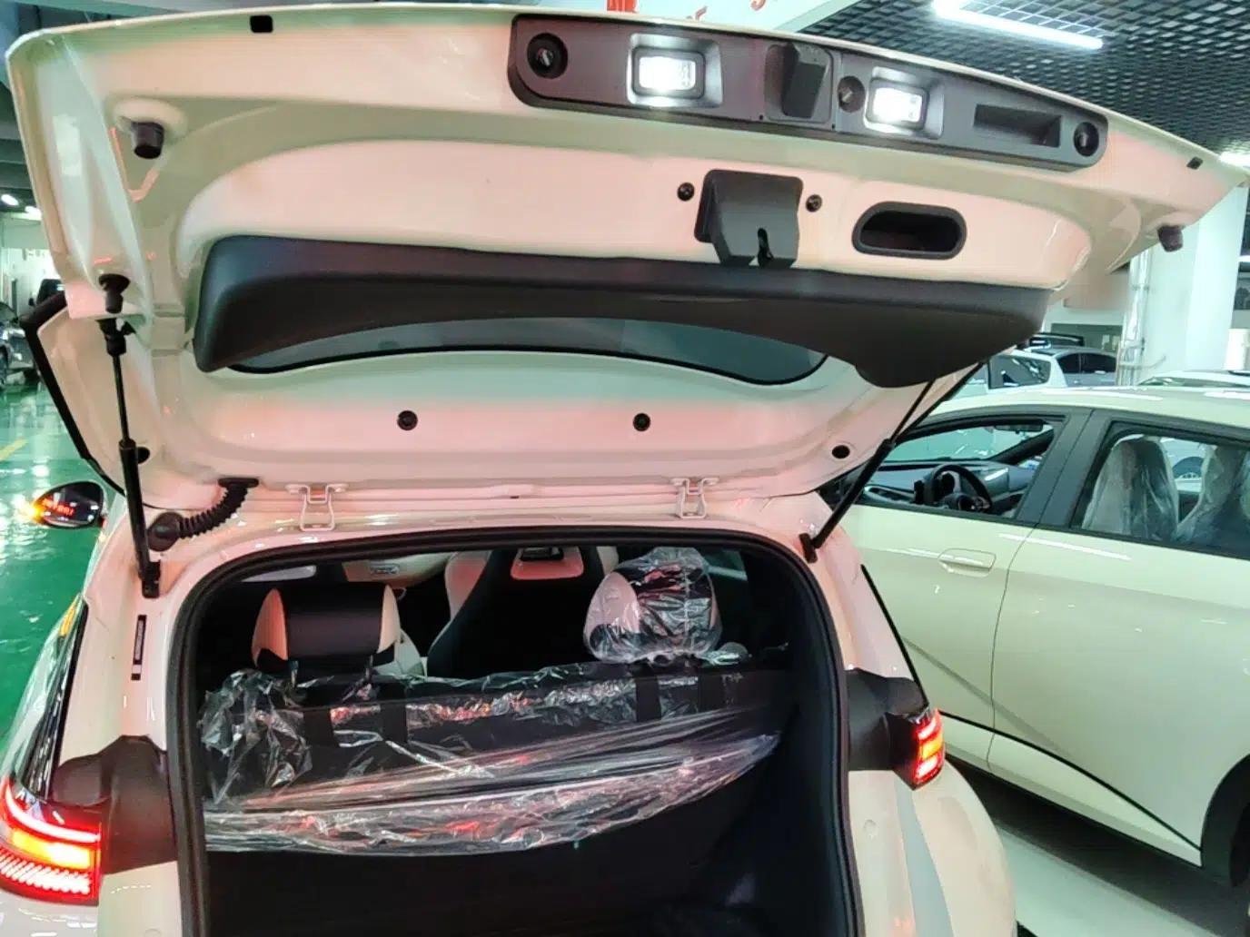 BYD Seagull 2025 Intelligent Driving Version 305 km Dynamic Edition — миниатюра 22