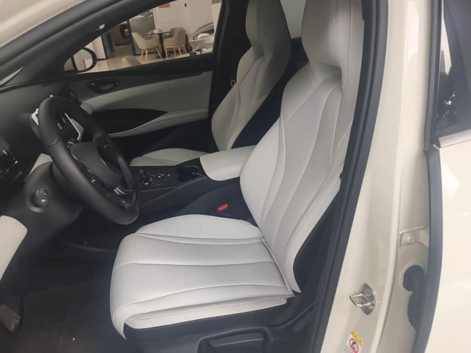BYD Seal 06 New Energy 2024 DM-i 80KM Luxury Model — миниатюра 17