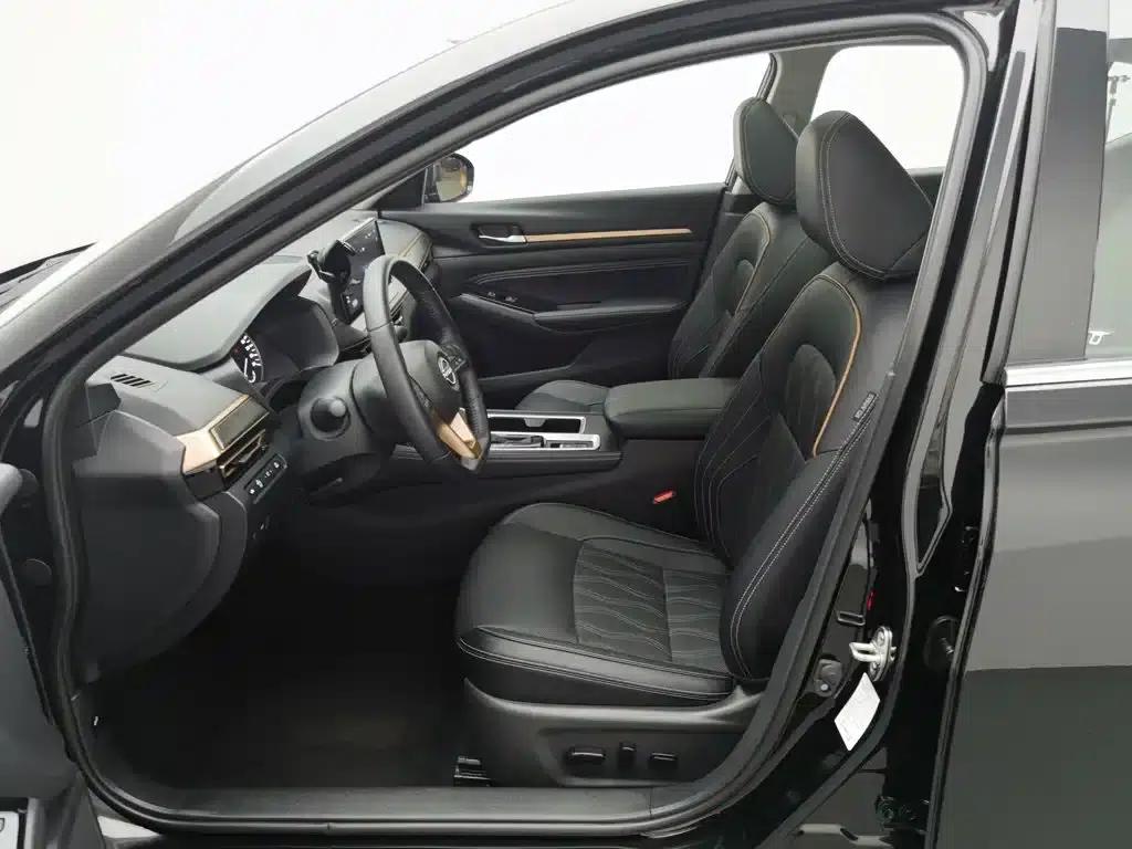 Teana 2024 2.0L SV Black Gold Edition — миниатюра 10