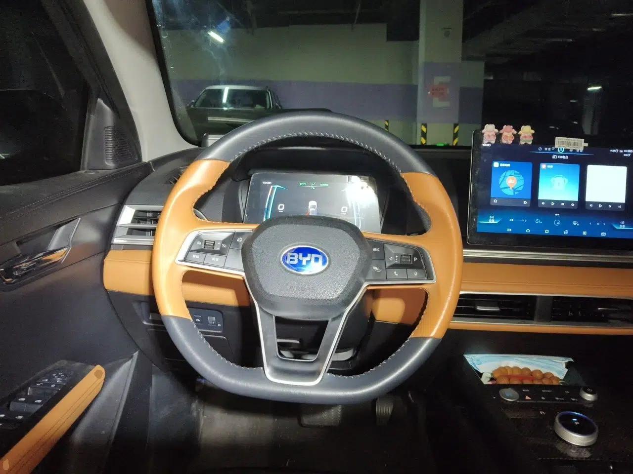 BYD e2 2021 Deluxe Model — миниатюра 10