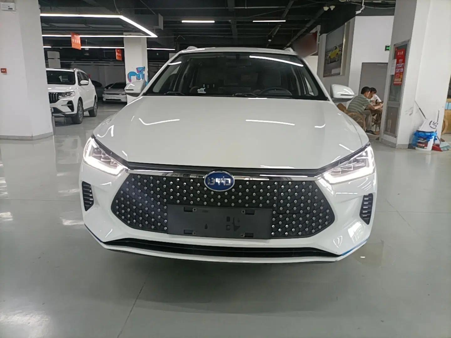 BYD e2 2021 Luxury Model — миниатюра 2