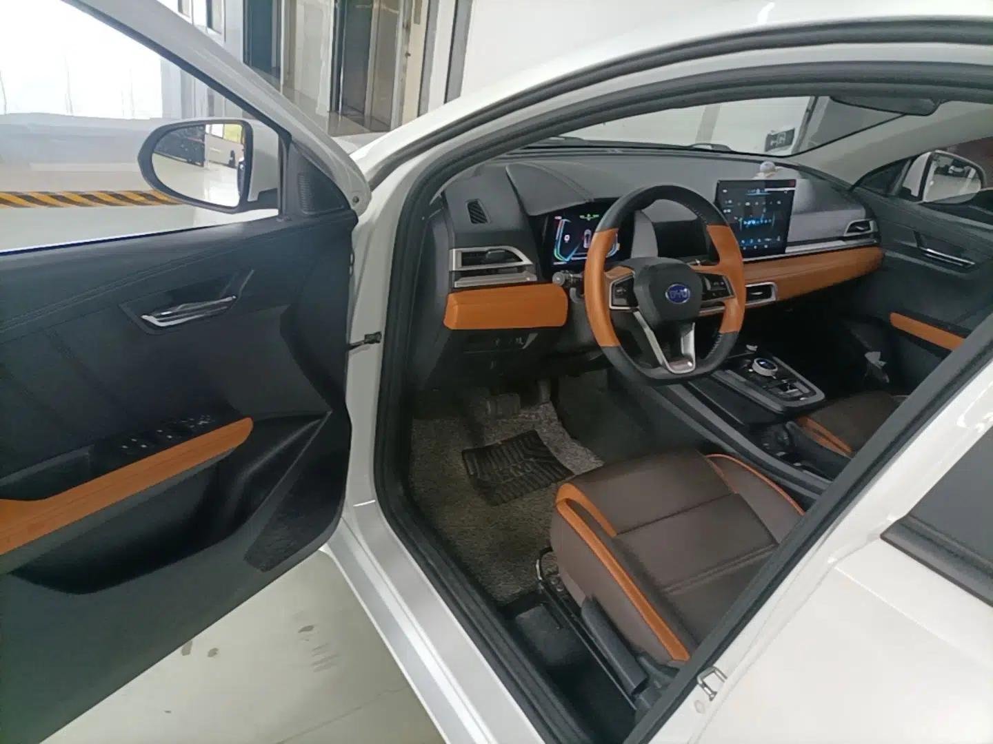 BYD e2 2021 Luxury Model — миниатюра 18