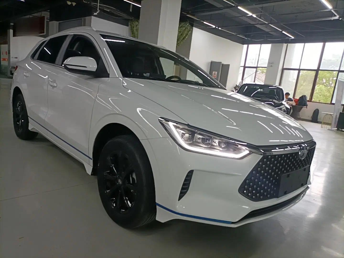 BYD e2 2021 Luxury Model — миниатюра 3