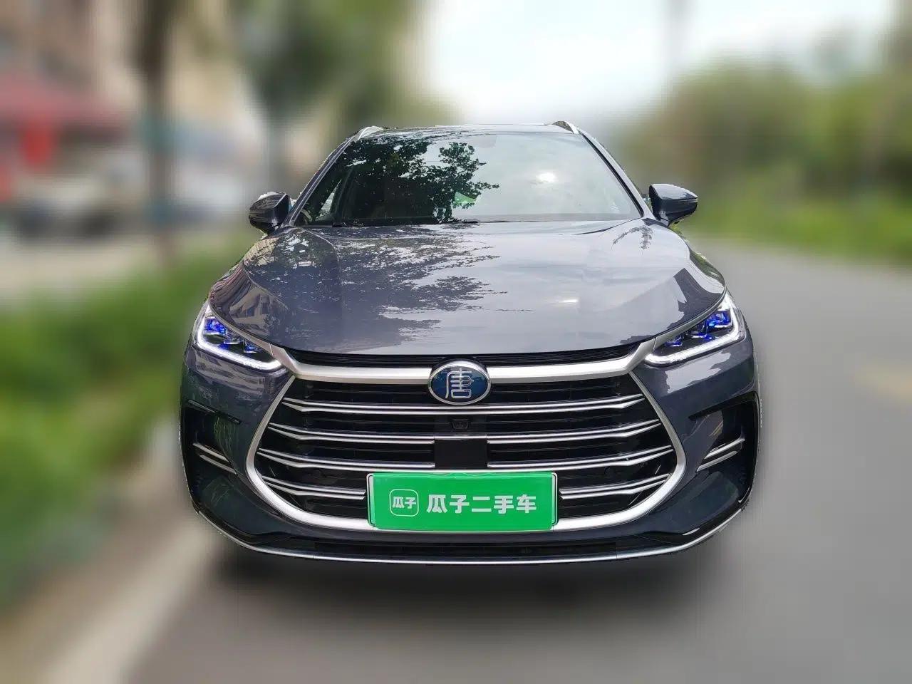 BYD Tang New Energy 2021 DM-i 112KM Prestige Model — миниатюра 2