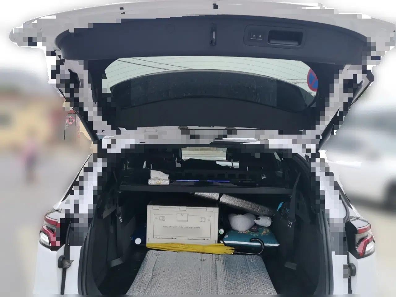 BYD Tang New Energy 2021 DM-i 112KM Prestige Model — миниатюра 16