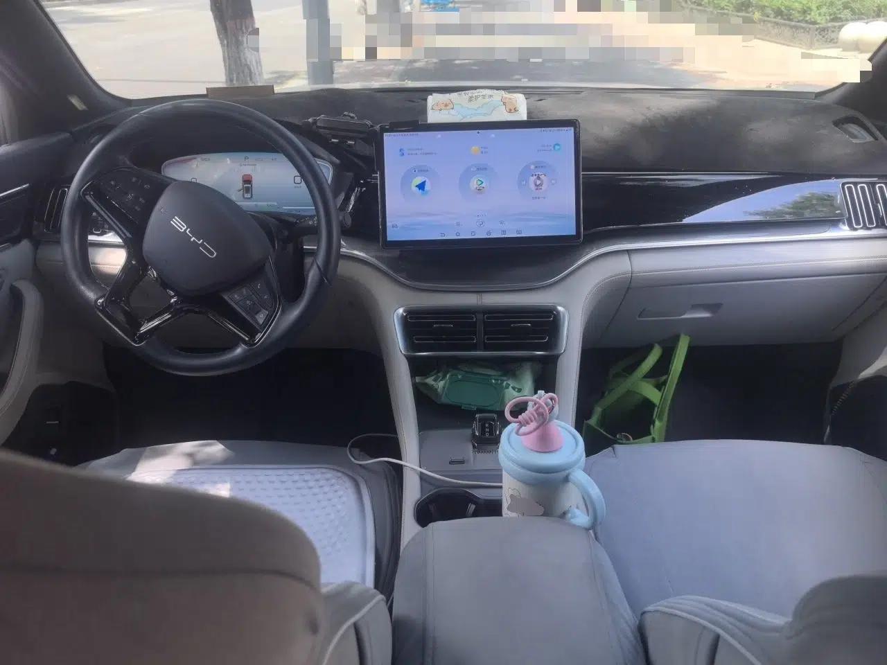 BYD Song PLUS New Energy 2023 Champion Edition DM-i 110KM Flagship PLUS — миниатюра 9