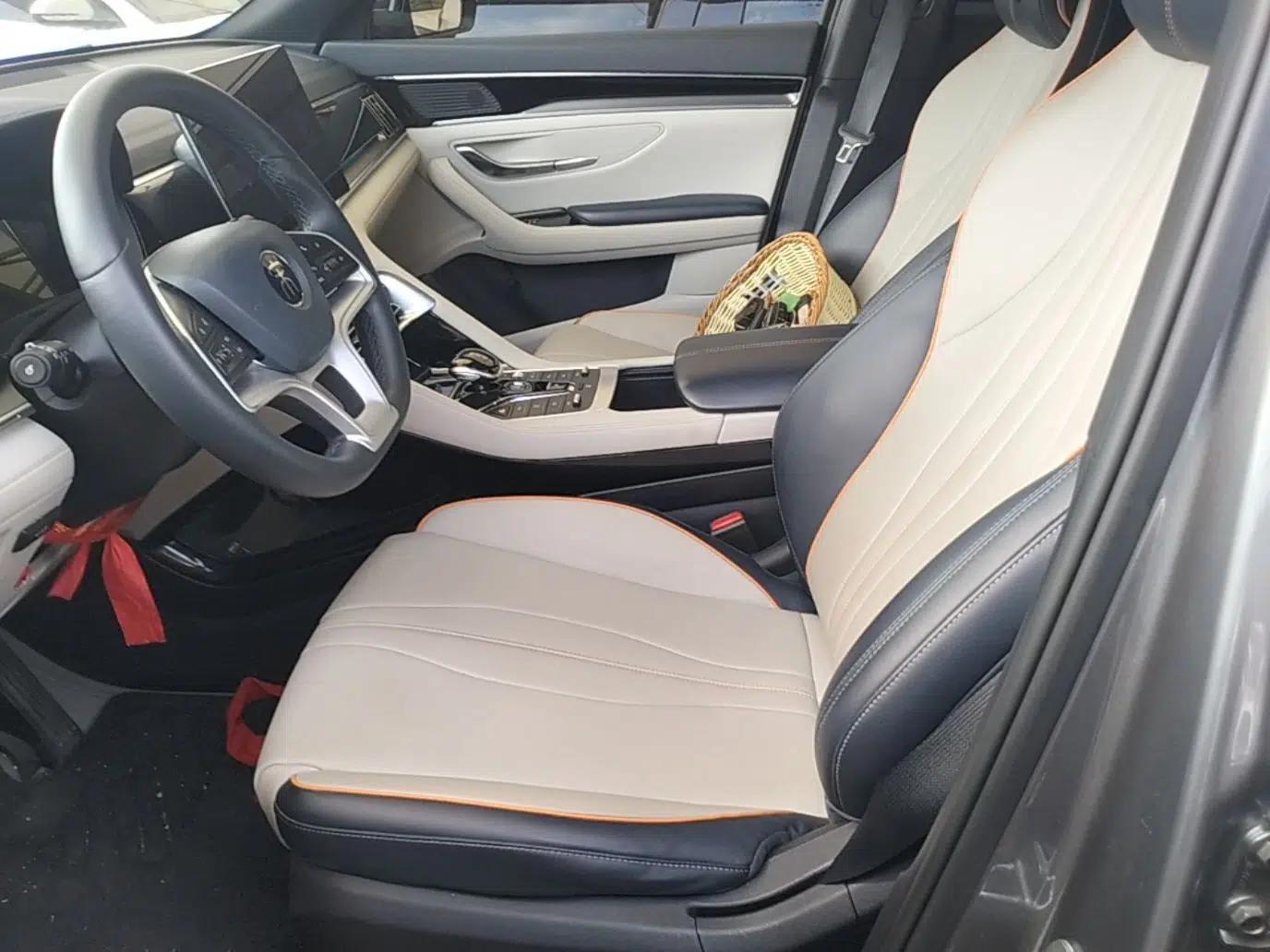 BYD Song PLUS New Energy 2021 EV Deluxe Model — миниатюра 17