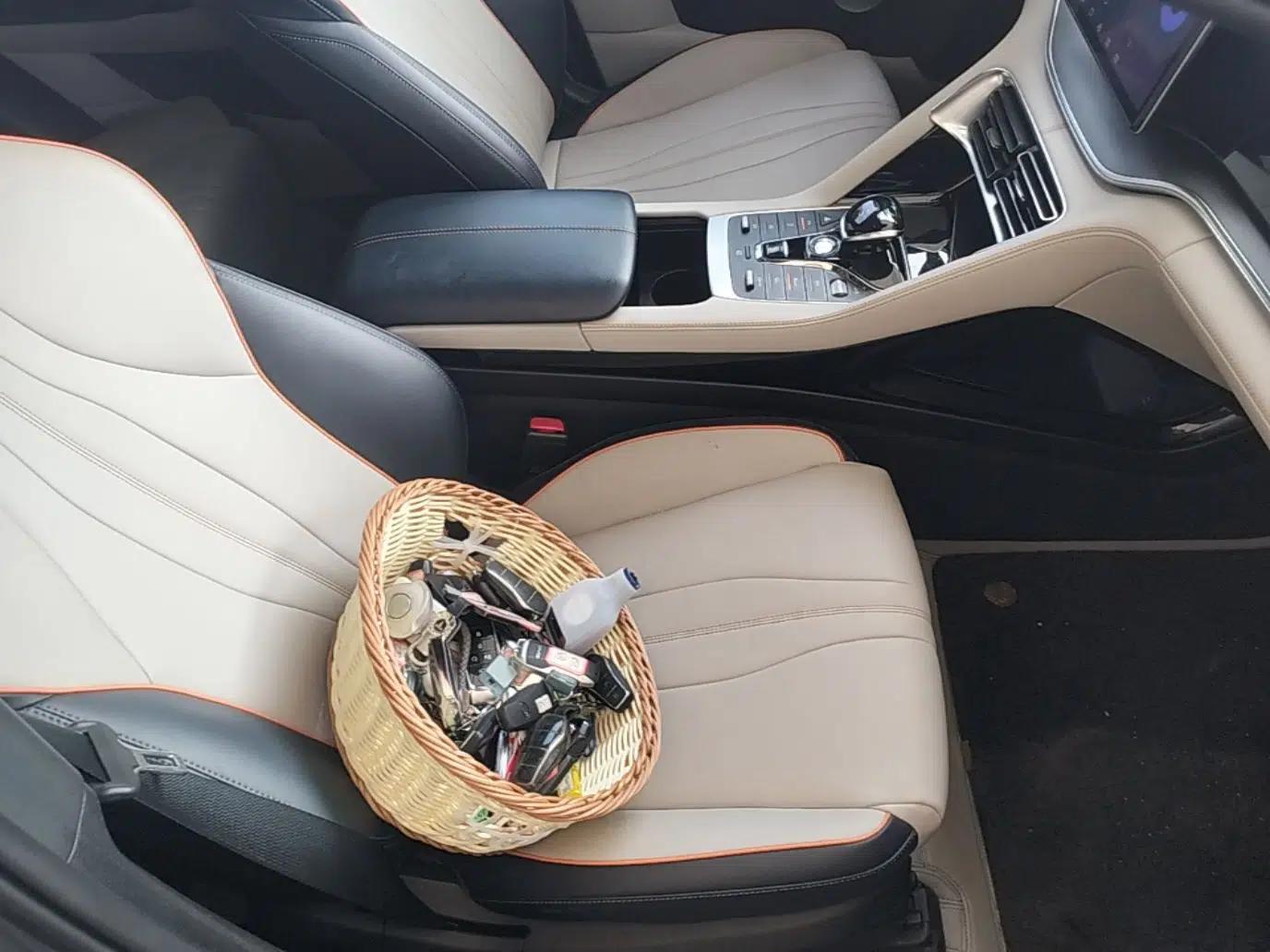 BYD Song PLUS New Energy 2021 EV Deluxe Model — миниатюра 19
