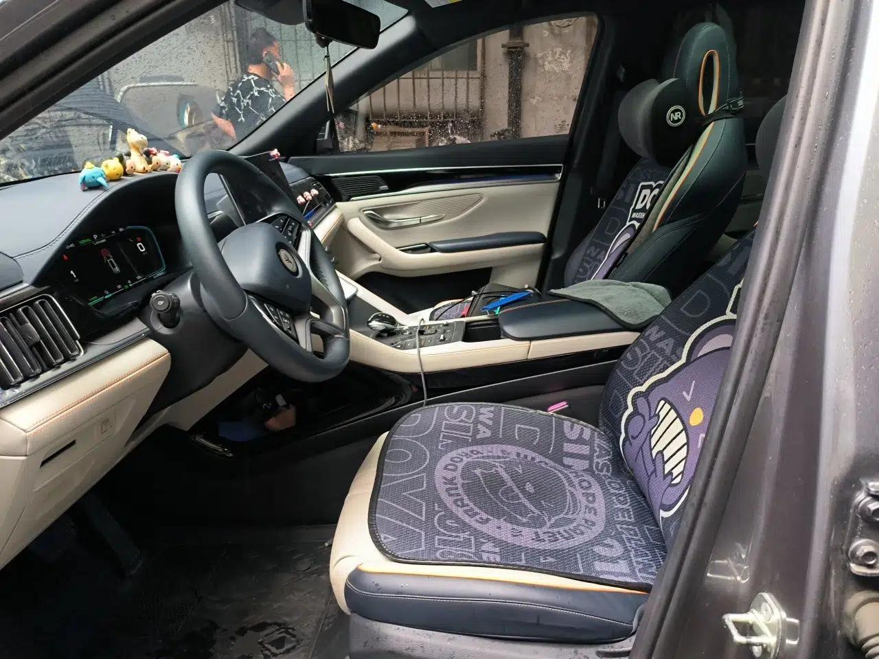BYD Song PLUS New Energy 2021 DM-i 110KM Flagship PLUS — миниатюра 15