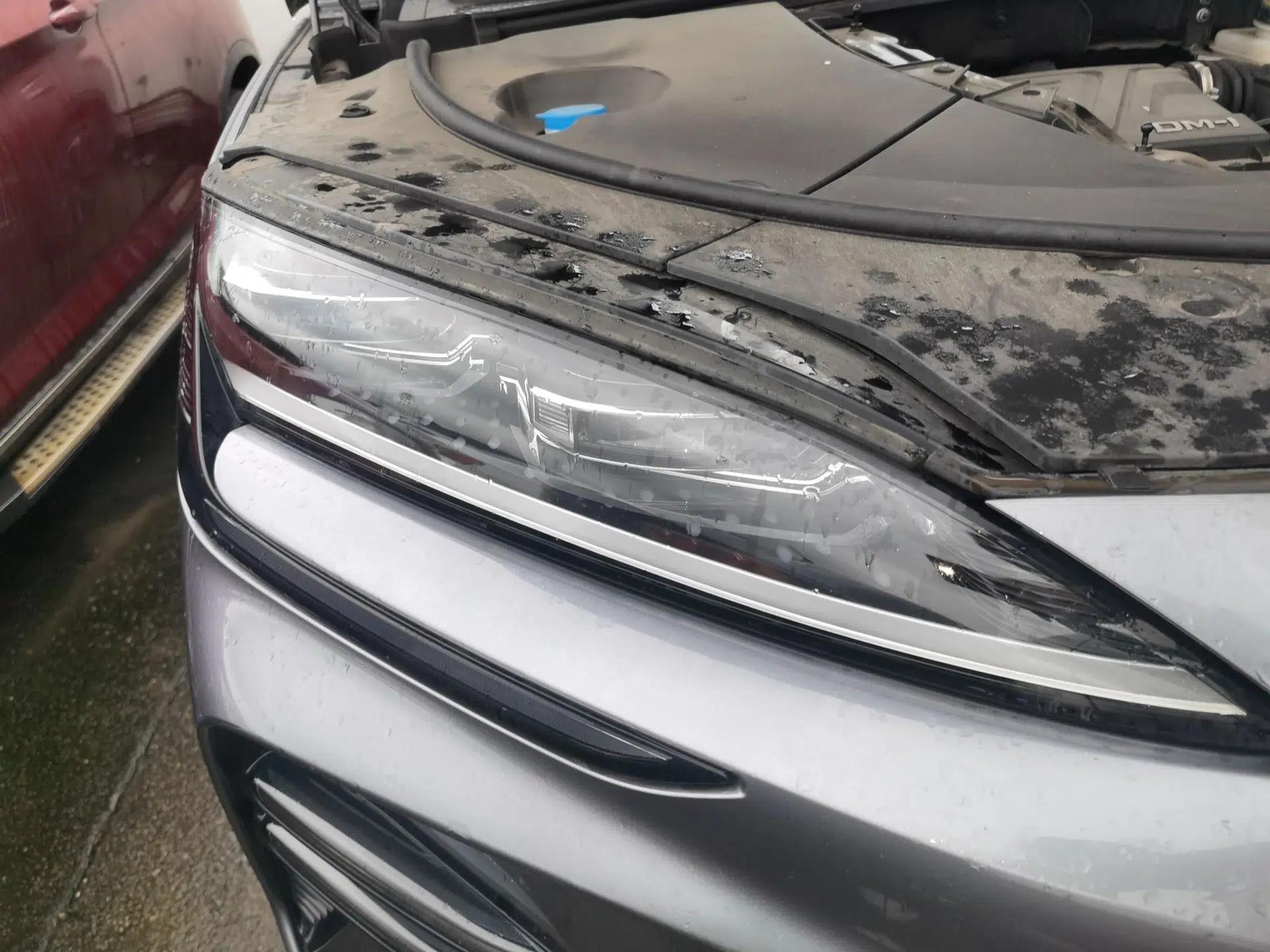 BYD Song PLUS New Energy 2023 Champion Edition DM-i 110KM Flagship Model — миниатюра 7
