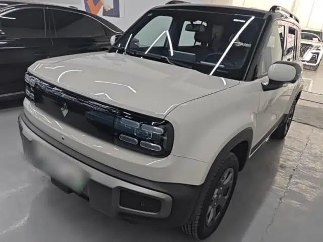 Baojun Spark EUV 2026 301km Flagship Edition