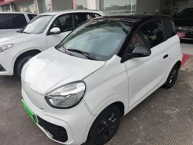 CLEVER 2022 Model 311km Energy Bobo Edition