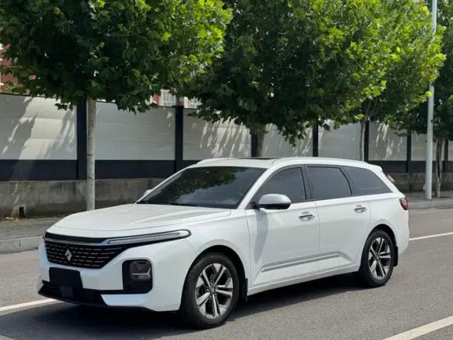 Baojun Valli 2021 1.5T Naqu Starry Sky CVT Flagship Model
