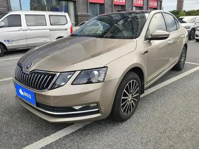 Octavia 2019 TSI230 DSG Smart Luxury Edition (National V Emission Standard)
