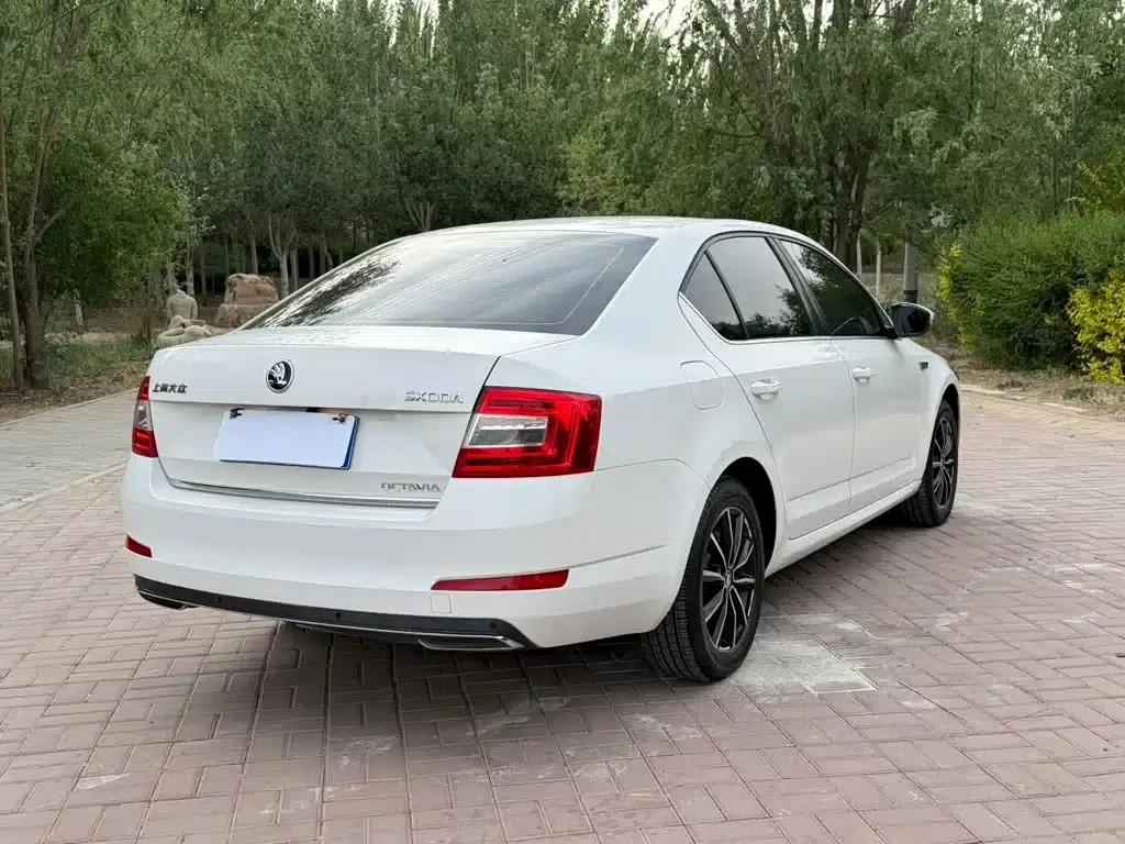 Octavia 2017 1.6L Automatic Smart Edition — миниатюра 9