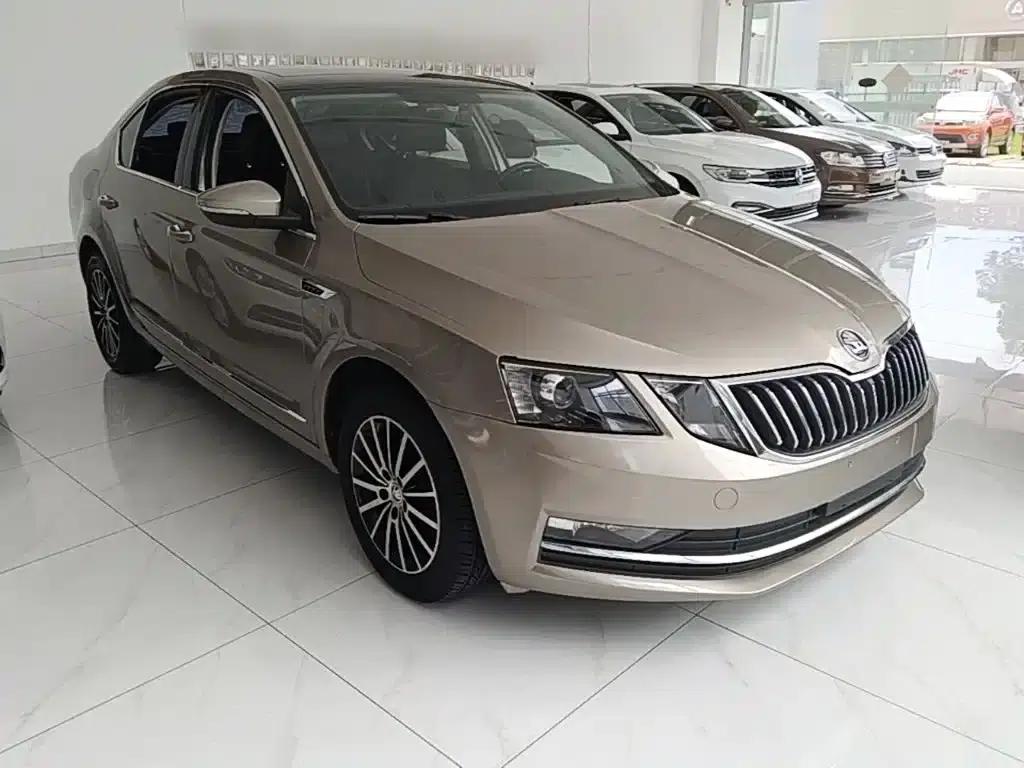 Octavia 2018 TSI230 DSG Luxury Edition — миниатюра 4