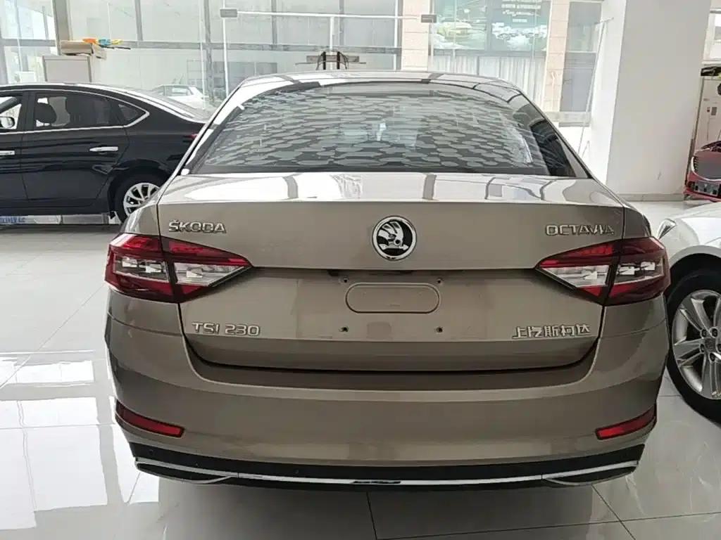 Octavia 2018 TSI230 DSG Luxury Edition — миниатюра 6