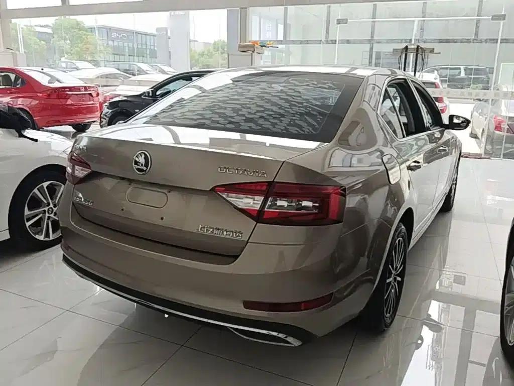 Octavia 2018 TSI230 DSG Luxury Edition — миниатюра 7
