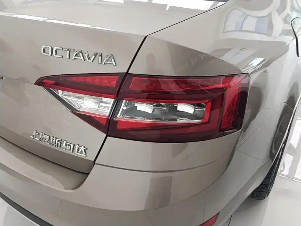 Octavia 2018 TSI230 DSG Luxury Edition — миниатюра 8