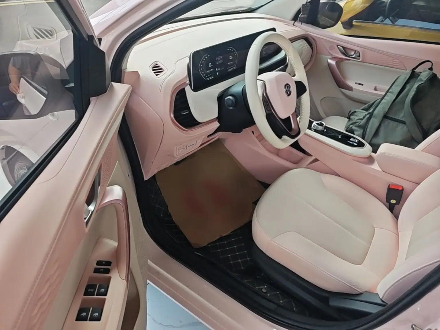 CHANGAN Benni E-Star 2022 Qingxin Edition Colorful Model Lithium Iron Phosphate — миниатюра 18