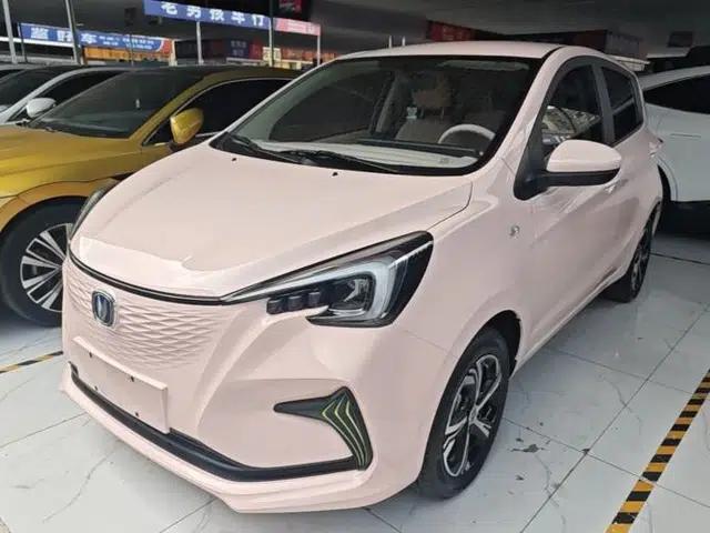 CHANGAN Benni E-Star 2022 Qingxin Edition Colorful Model Lithium Iron Phosphate