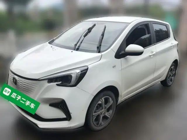 CHANGAN Benni E-Star 2020 Heartbeat Edition NMC Lithium