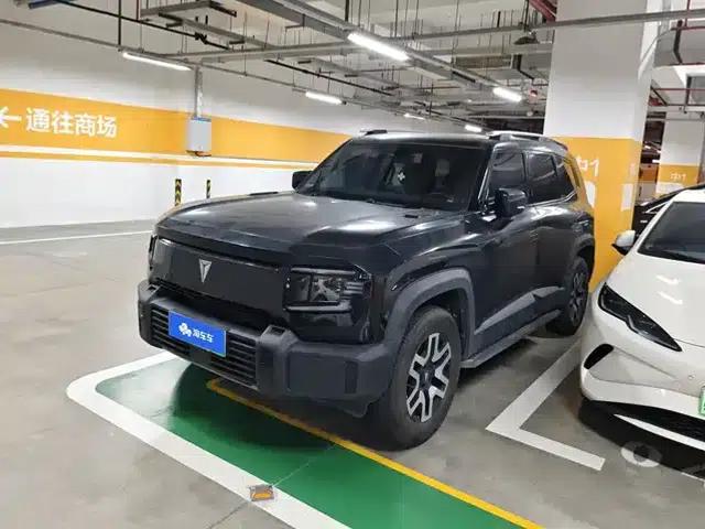 Deep Blue G318 2024 Two-Wheel Drive Comfort Edition