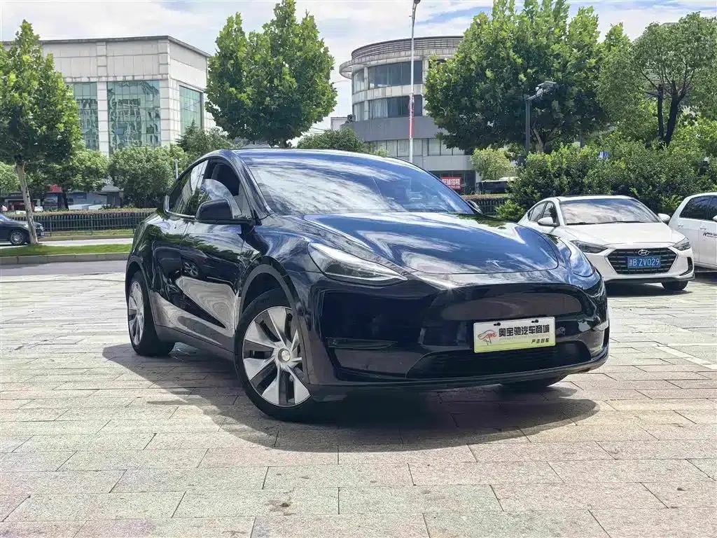 Model Y 2021 Standard Range Rear-Wheel Drive — миниатюра 3