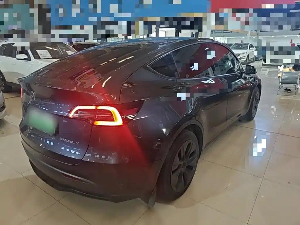 Model Y 2024 Rear-Wheel Drive — миниатюра 7