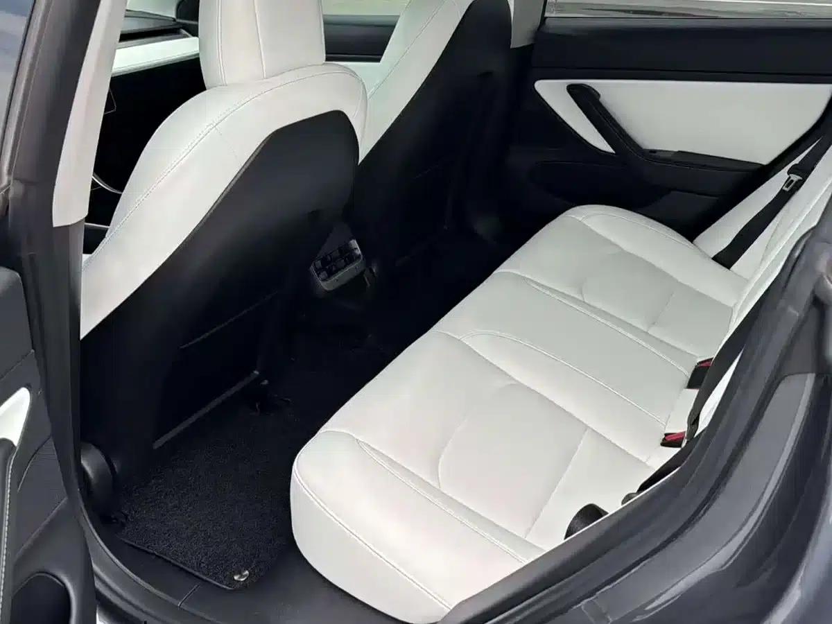Model 3 2020 Standard Range Rear-Wheel Drive Upgrade — миниатюра 3